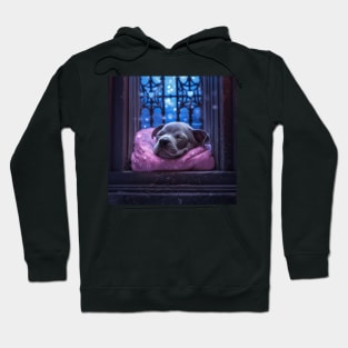 Sleeping beauty Staffy puppy Hoodie